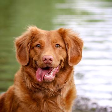 Laula Co Pdkpfbyssfa Unsplash Laula Co Pdkpfbyssfa Unsplash