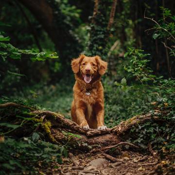Jamie Street Wtji3sutraw Unsplash Jamie Street Wtji3sutraw Unsplash